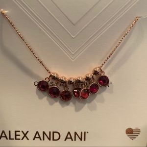 Alex and Ani Crystal Infusion necklace